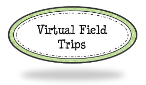 https://www.weareteachers.com/best-virtual-field-trips/